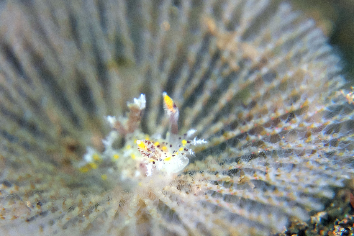 250602_7